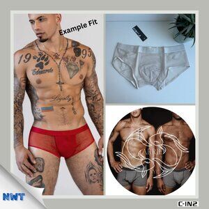 C-IN2 - Sheer - Hipster Brief - Navid Neutral (M)
